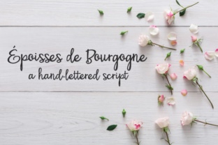 PN Époisses De Bourgogne: A Bouncy Script Font for Digital Design